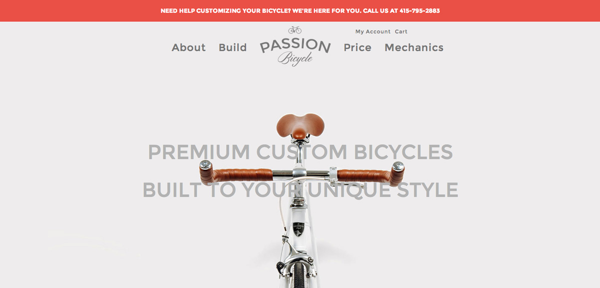 Passion Bicycle