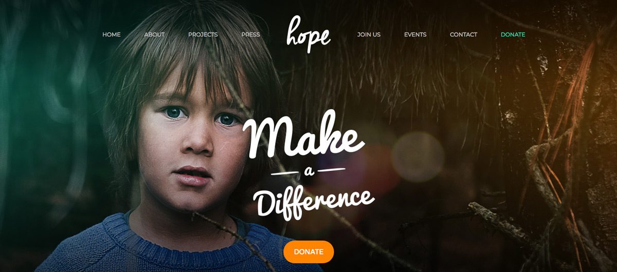 Hope Charity WordPress Theme