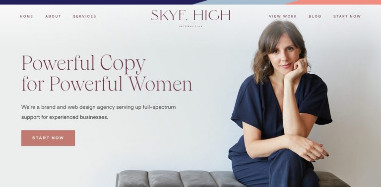 Skye High Interactive Headerlove